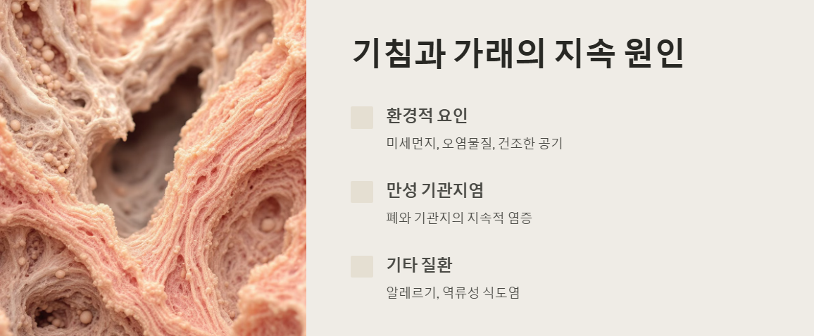 기침, 가래의 지속 원인