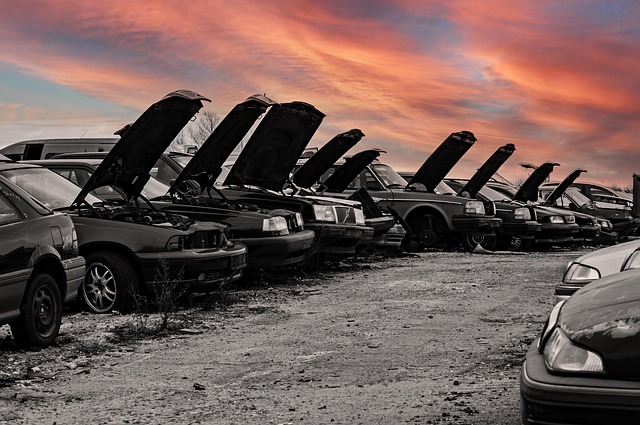 조기폐차 지원금