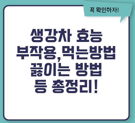 생강차 효능 먹는법 끓이는 방법 등 총정리(생강차 티백, 분말)
