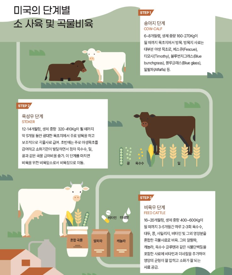 블랙앵거스 뜻, 등급, 특징