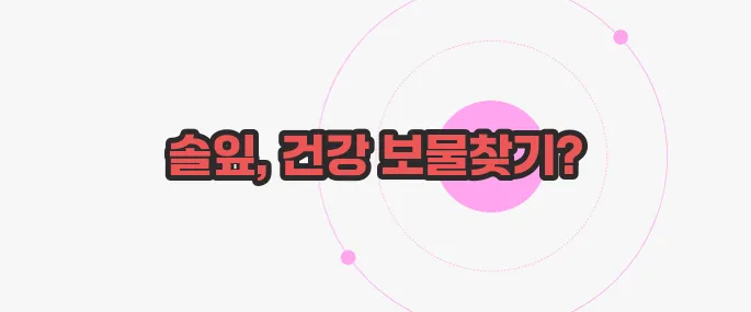 솔잎 효능 한 번 정리해볼까요