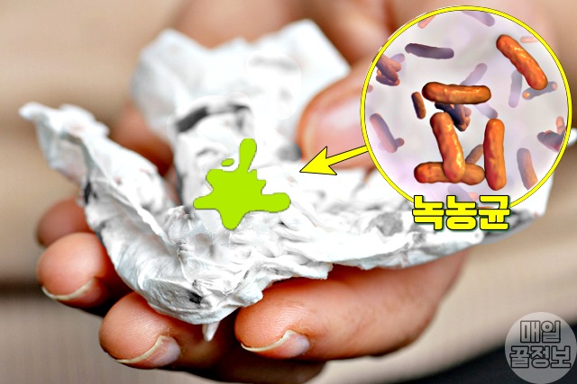 가래 색깔별 증상, 녹색 가래색깔 독감 녹농균, 건강 팁줌 매일꿀정보