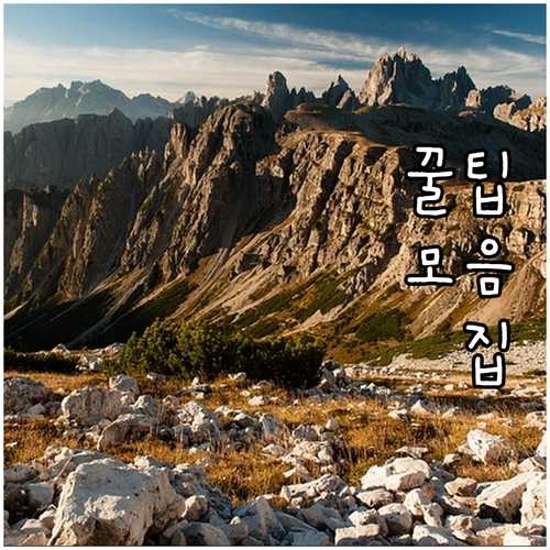 놓치지 마세요 2025 부평구 장애인..