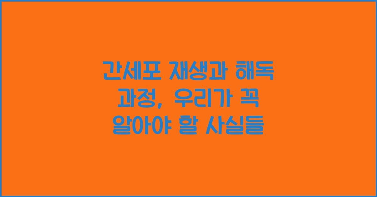 간세포 재생, 해독 과정