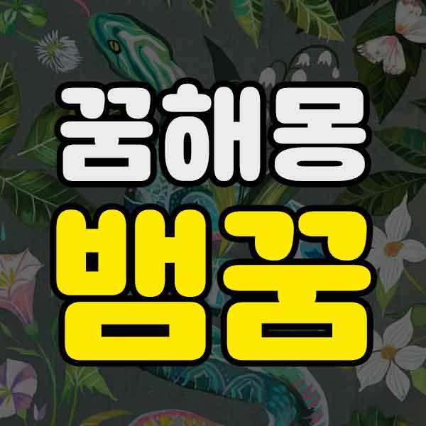 꿈해몽 - 뱀꿈