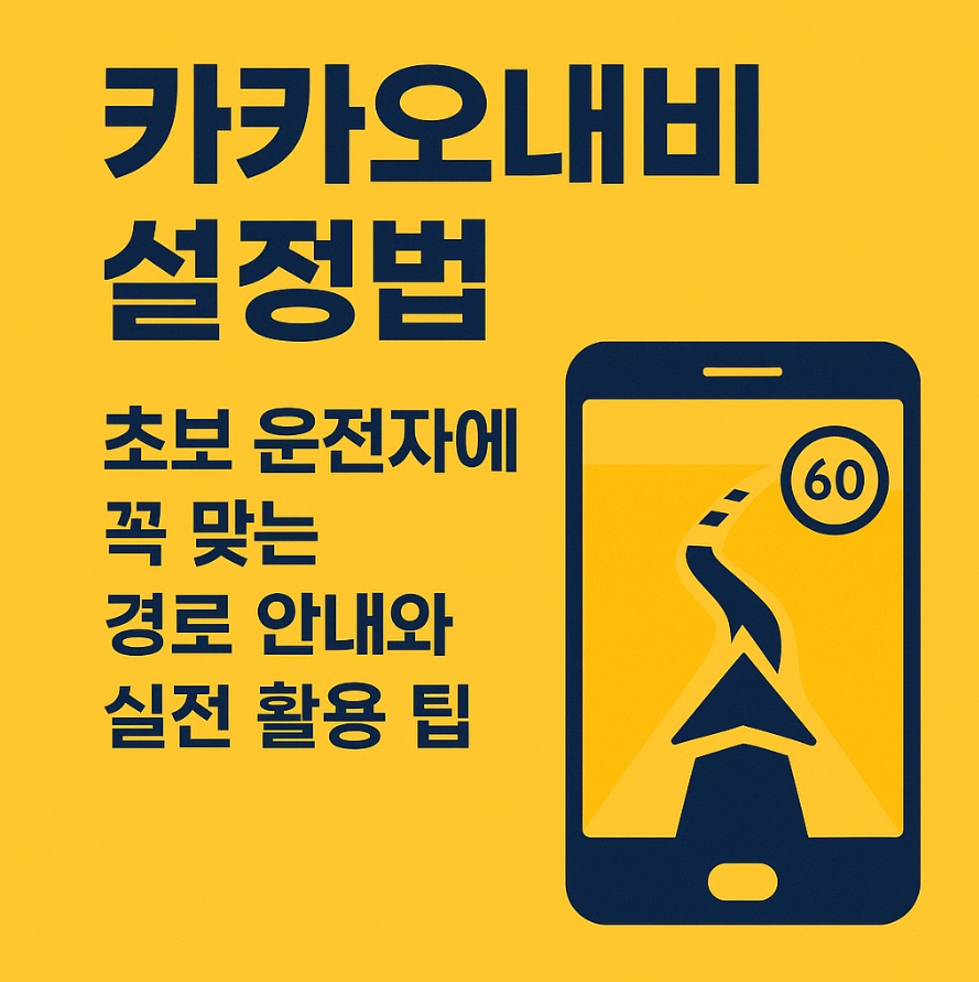 카카오내비 설정법