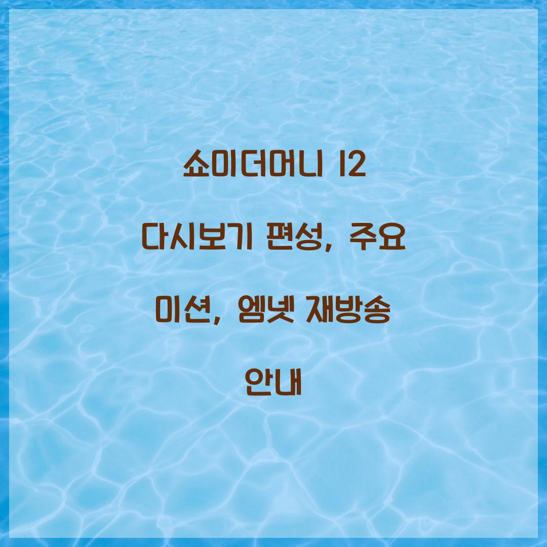 쇼미더머니 12 다시보기