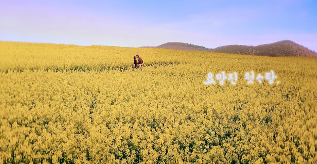 폭싹 속았수다 촬영지