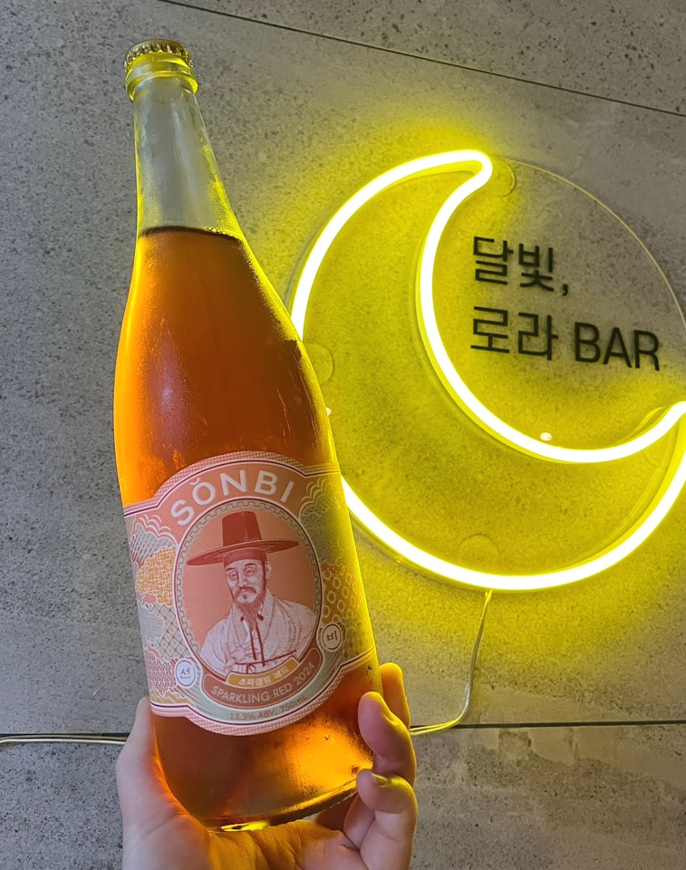 선비1