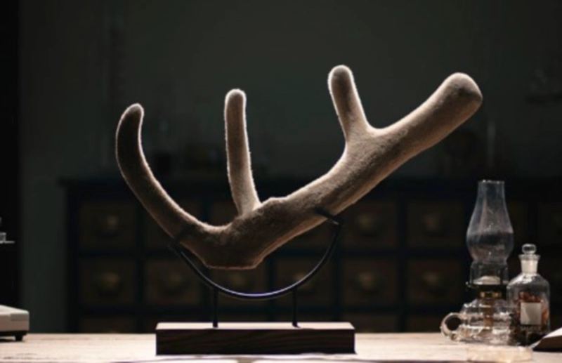 녹용 효능 먹을때 주의점과 부작용 및 원용과의 차이점 정리