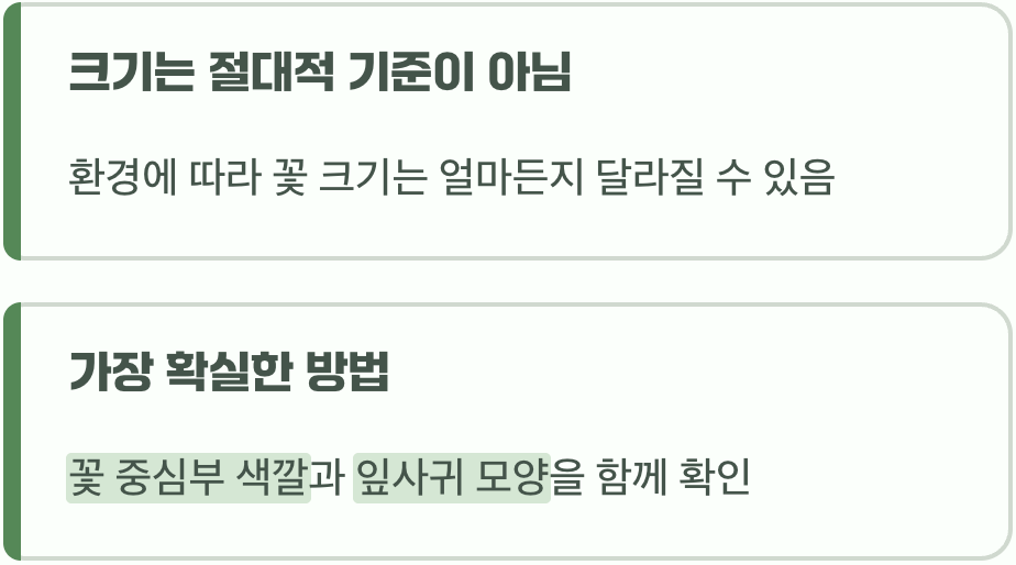 이름에 담긴 오해