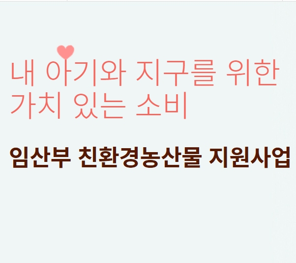 임산부친환경농산물지원사업