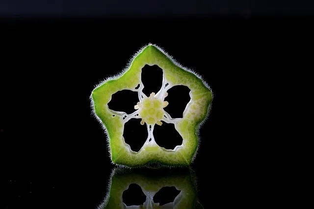 오크라 효능 재배법 손질 수확 요리 보관까지 한눈에 보기_3