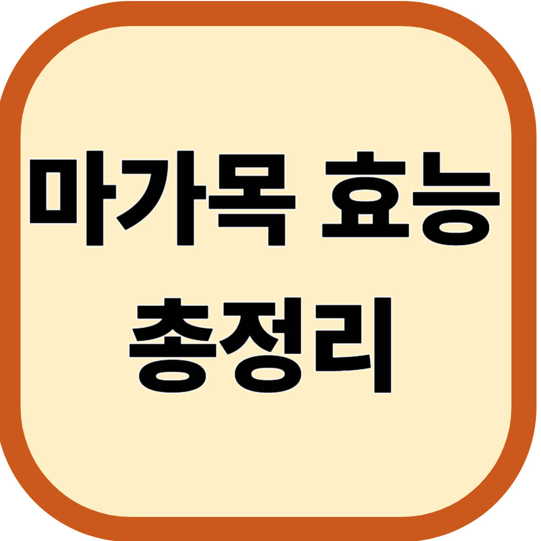 마가목 효능 총정리