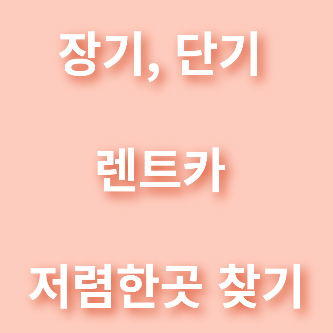 수도권 장기,단기, 법인 차량 렌트카 저렴한곳 찾기.(장점)