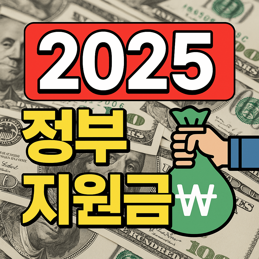 2025 정부지원금