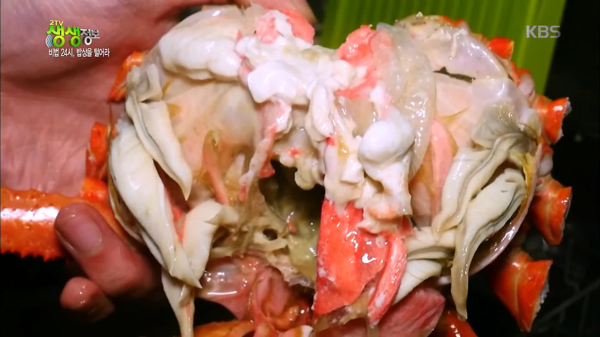 백반기행 붉은대게 요리 문희경 편 대게 게짜박이 두부게살찜 울진 맛집 소개