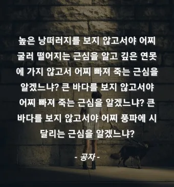 공자 명언 낙이불류 애이불비 중용 명언_23