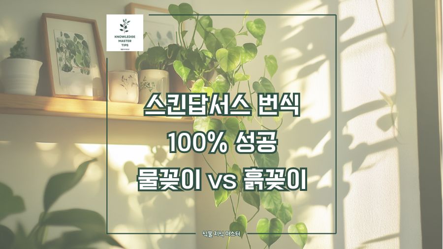 스킨답서스 번식 이렇게 하면 100% 성공, 물꽂이 vs 흙꽂이