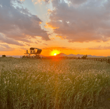 남해안 해돋이 명소 추천 Best 5