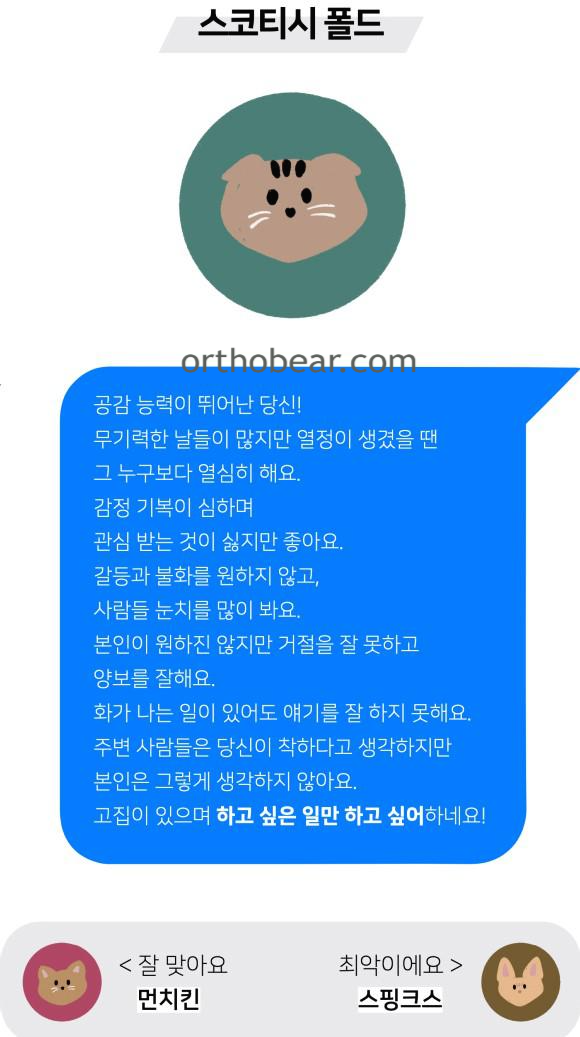 스코티시 폴드 mbti