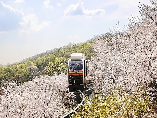 화담숲 방문 가이드 ❘ 입장료, 예약 방법, 모노레일 이용 팁 총정리