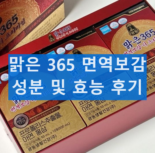 광동 맑은 365 면역보감 더 프리미엄 성분 및 부작용 가격 섭취후기