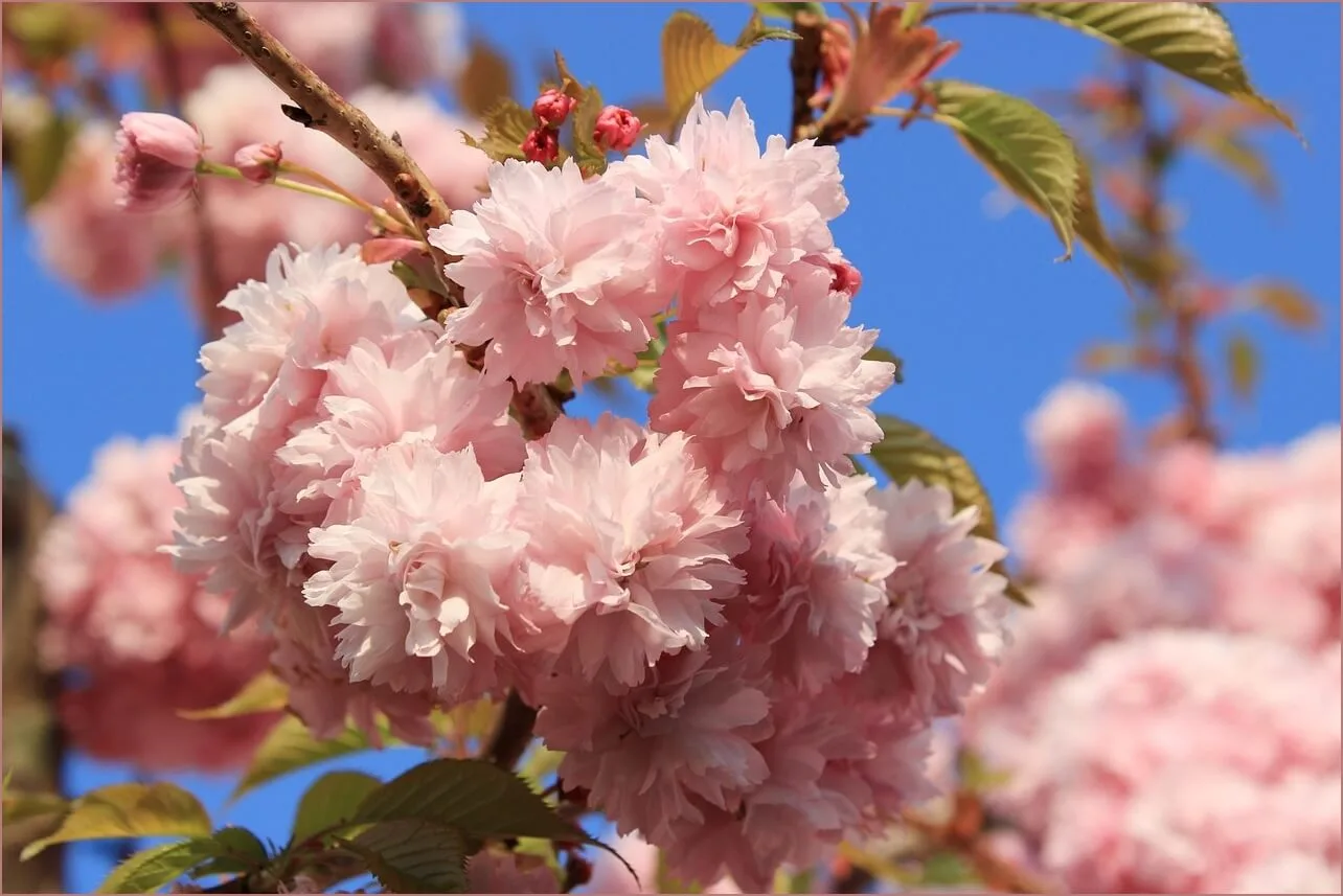 우리은행 예금금리