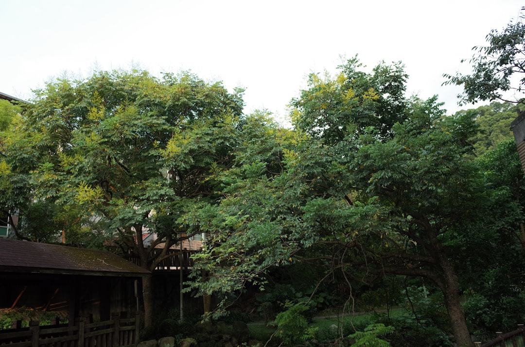 Doosan