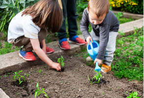 보육료 사전신청
