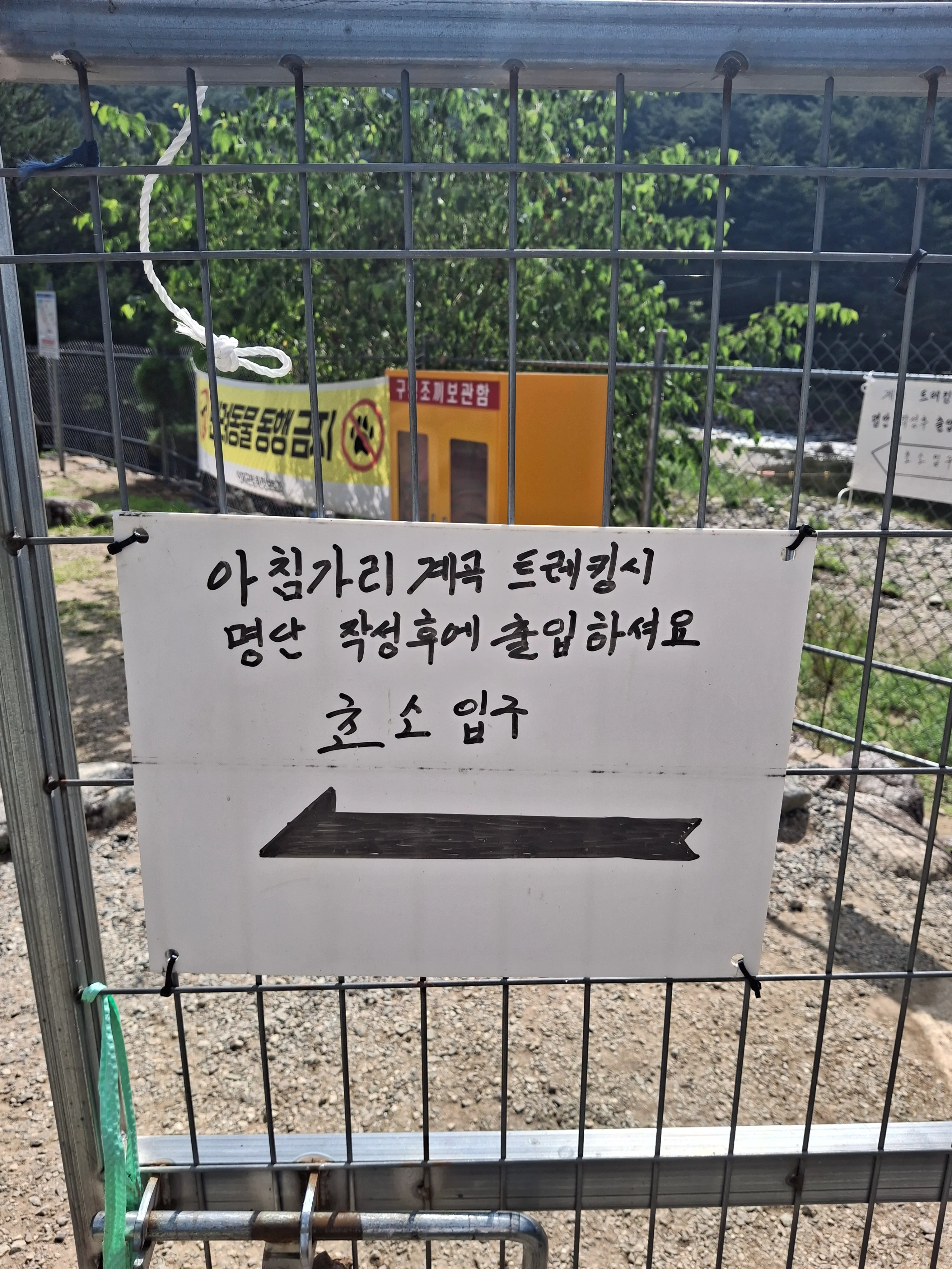 강원도 인제 아침가리 트레킹 시간 교통 투어