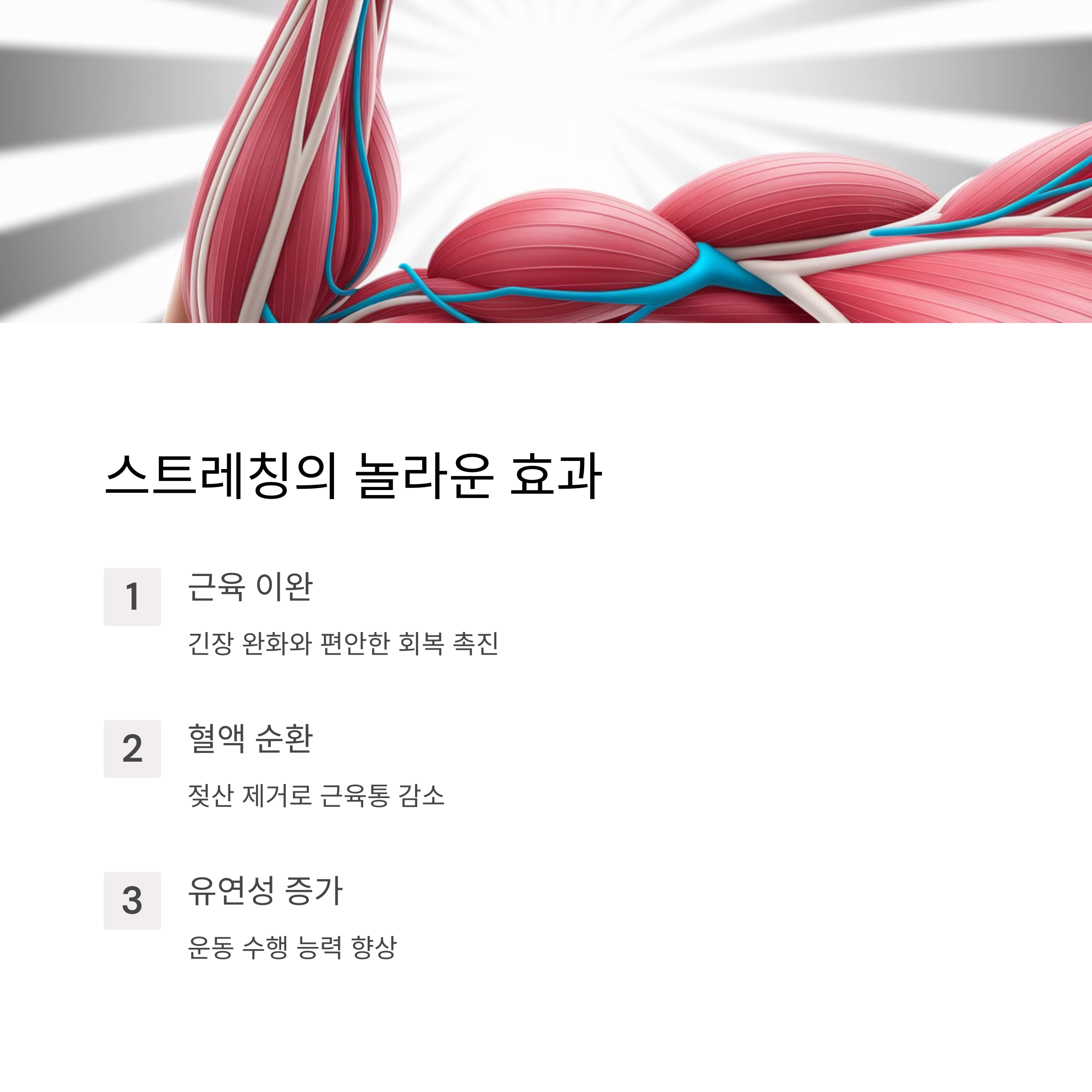 운동 후 스트레칭의 효과