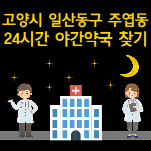 고양시 일산동구 주엽동 24시간 야간 심야 당번약국 찾기