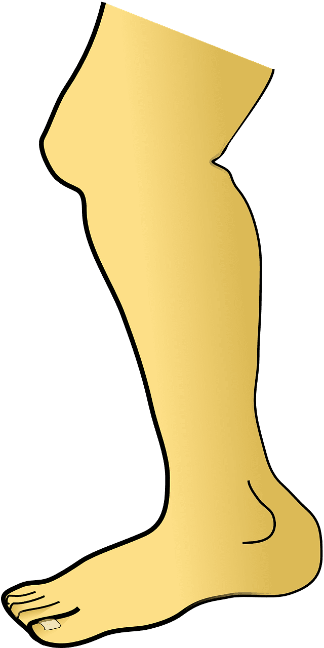 발뒤꿈치 갈라짐 바세린