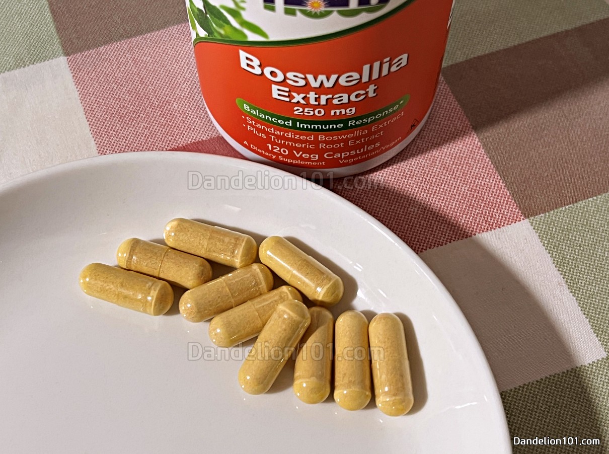 나우푸드 보스웰리아 추출물 250mg 캡슐