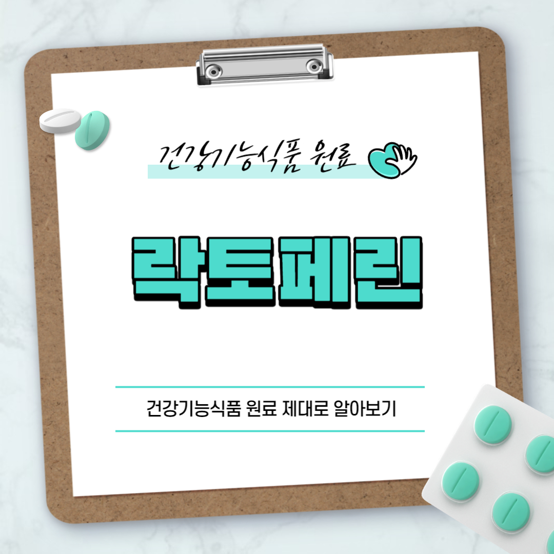 락토페린