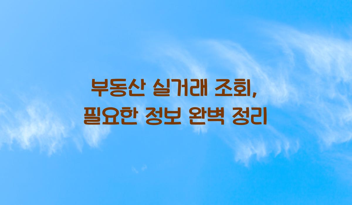 부동산 실거래 조회