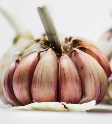 마늘 효능 효과 부작용 당뇨 혈관 건강