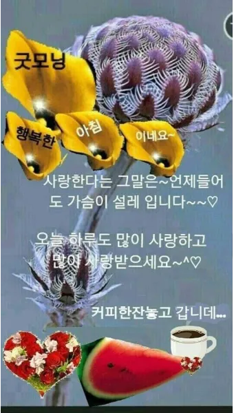 아침인사 이쁜글 다운로드_8