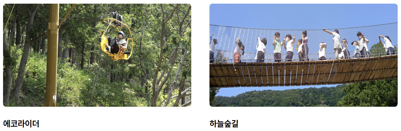 놀이시설 사진