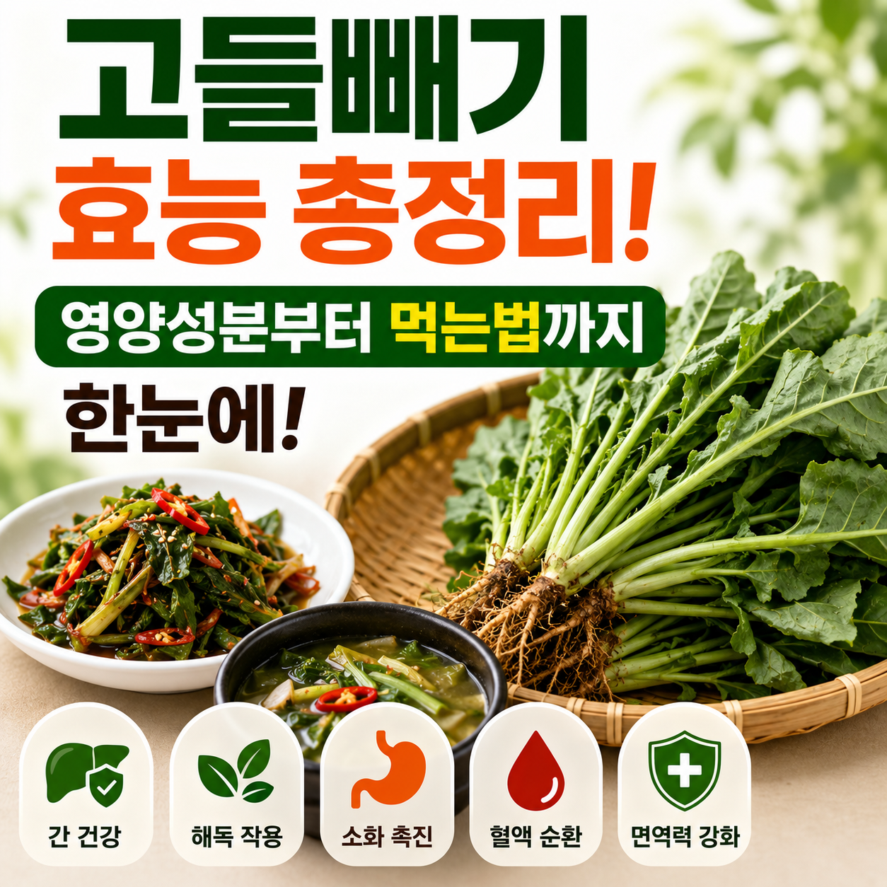 고들빼기 효능