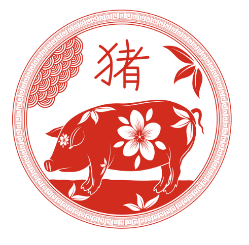 2025년 삼재띠 대박띠