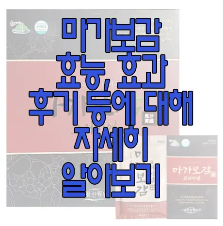 마가보감에 관한 글 썸네일