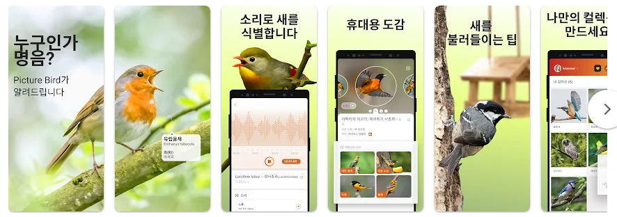 조류 이름 찾기 어플, 새 이름 검색하기, 조류 식별, Picture Bird