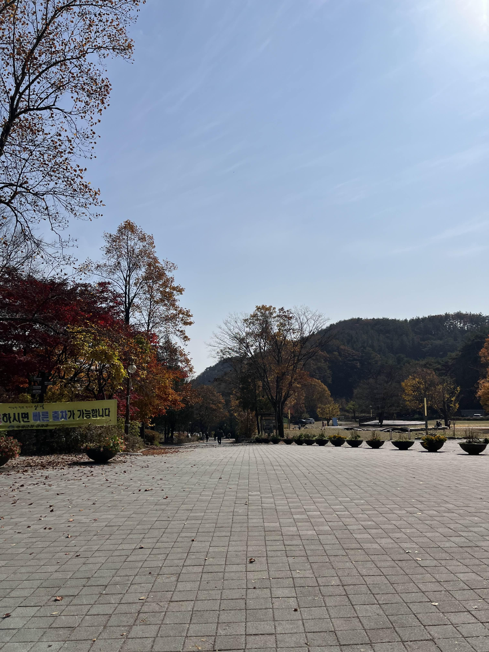 단풍명소 용문사