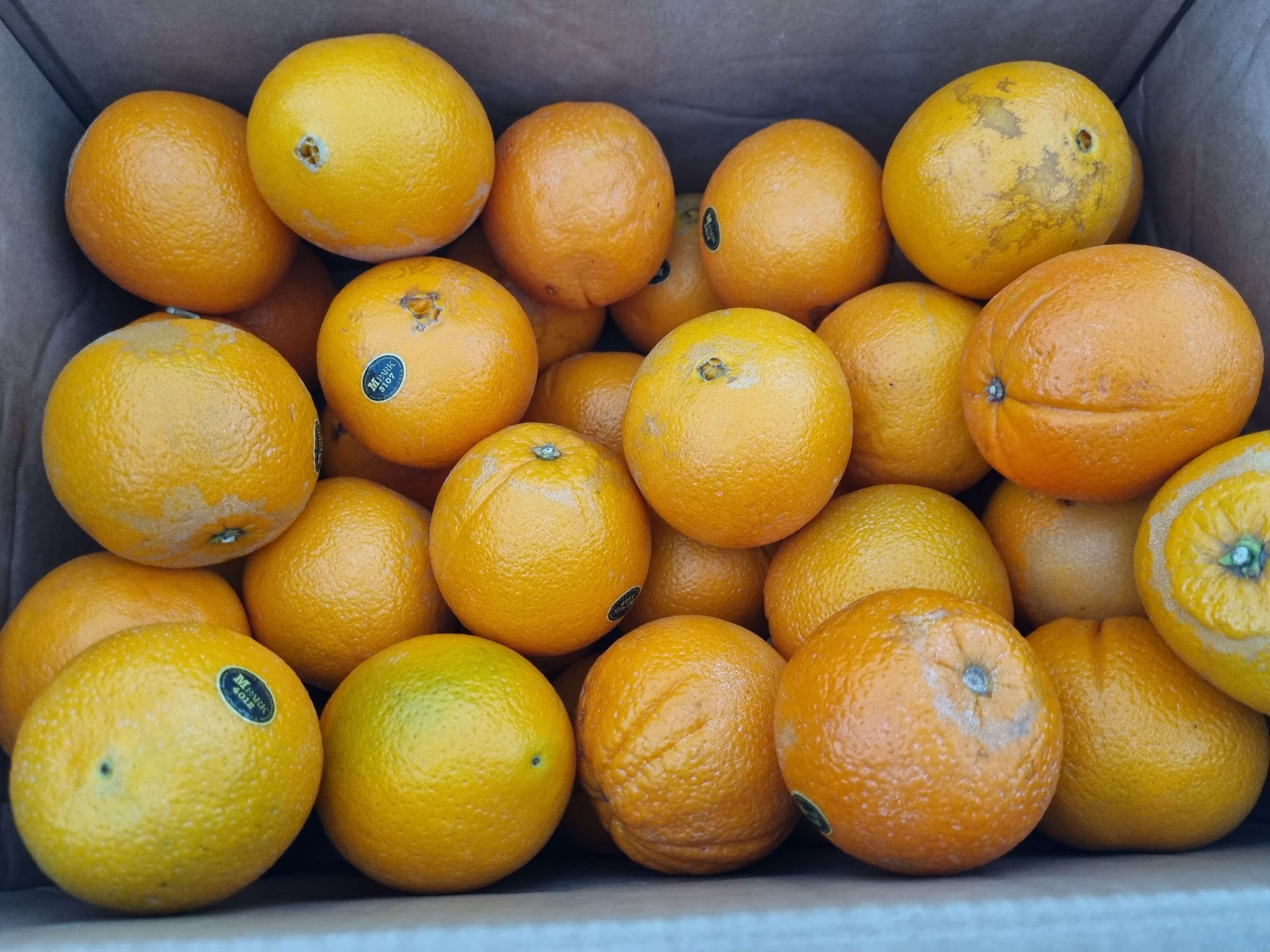 블랙라벨 오렌지