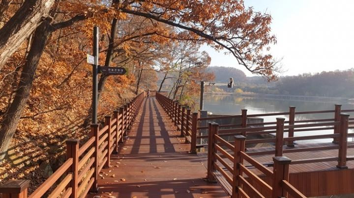 광교호수공원 신대호수 주변의 나무와 호수가 어우러진 가을 수변 산책길