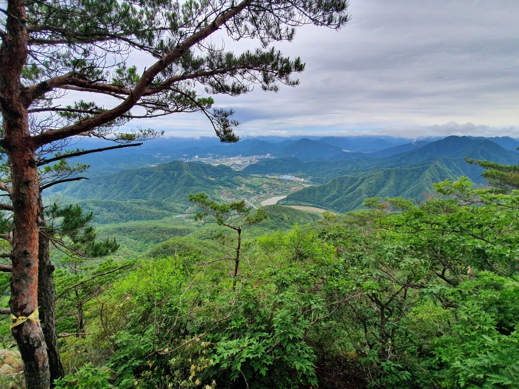 태화산