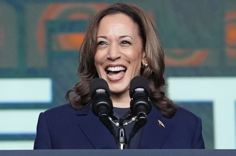 해리스 관련주 남편