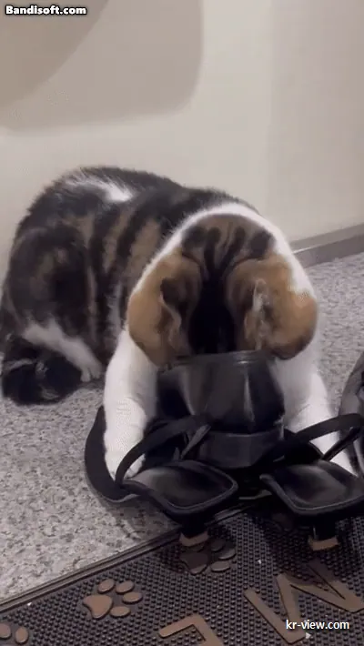 img.webp?credential=yqXZFxpELC7KVnFOS48ylbz2pIh7yKj8&expires=1767193199&allow_ip=&allow_referer=&signature=hfQeKJ9NiFcAVdKc2YjWiOQAXAY%3D